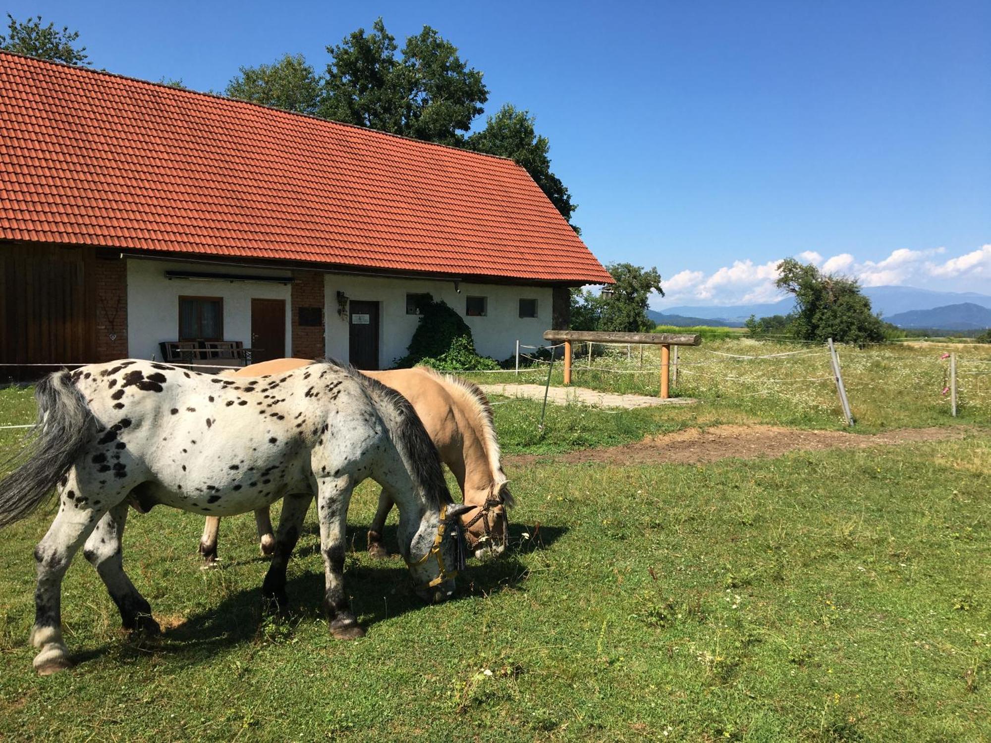 Skorianzhof Hotel Eberndorf Ngoại thất bức ảnh