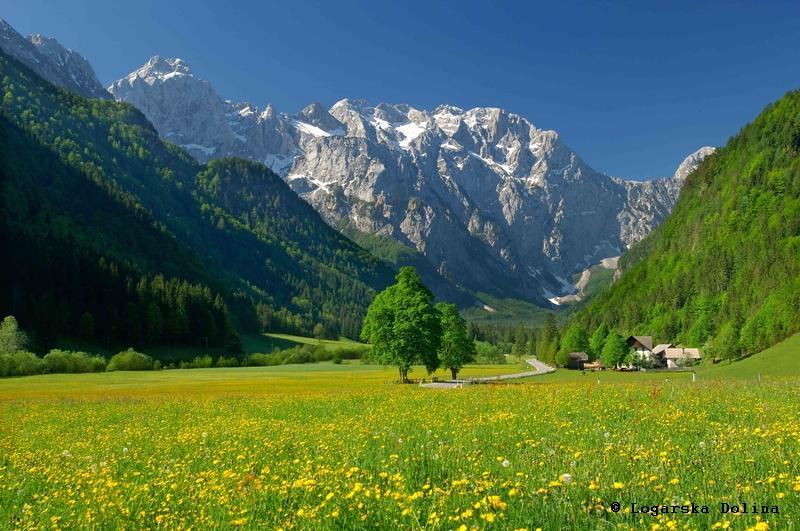 Skorianzhof Hotel Eberndorf Ngoại thất bức ảnh
